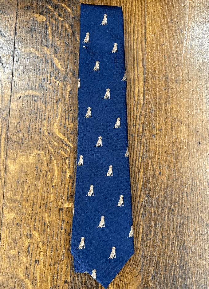 Ashford Silk Tie | Labrador | Navy