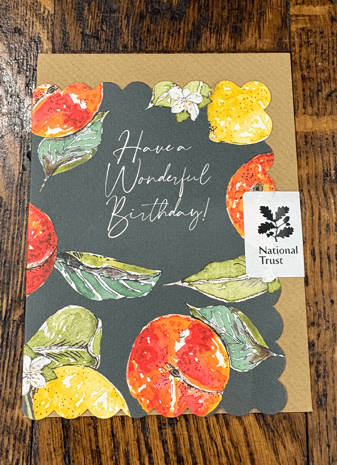 Have a Wonderful Birthday | Green | National Trust | Card