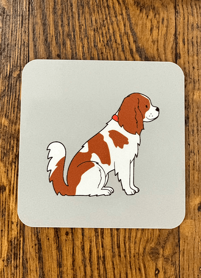 Sweet William | Coaster | King Charles Spaniel