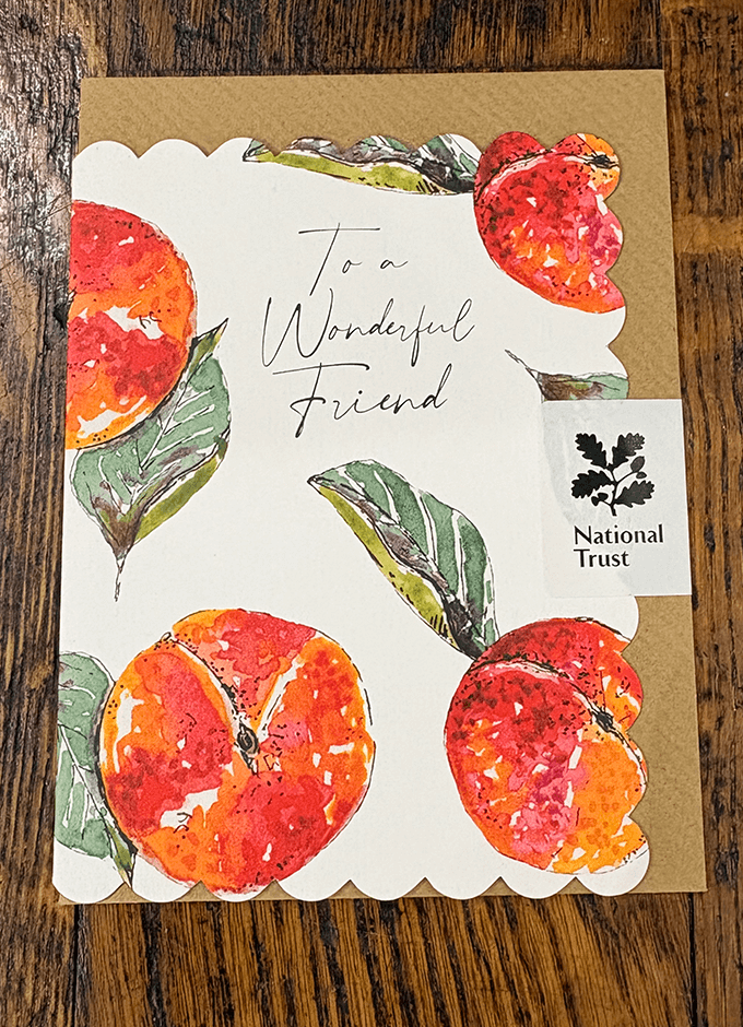 To a Wonderful Friend | White | National Trust | Card