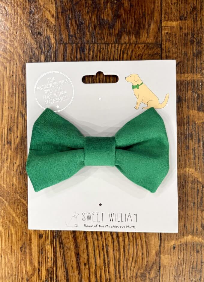 Sweet William | Velvet Bow Tie Green