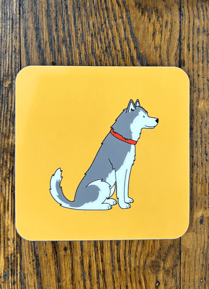 Sweet William | Coaster | Husky