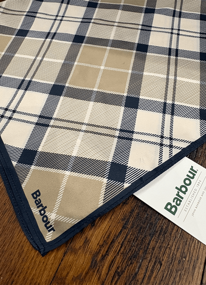 Kinsale Head/Neck Scarf | Dress Indigo Tartan