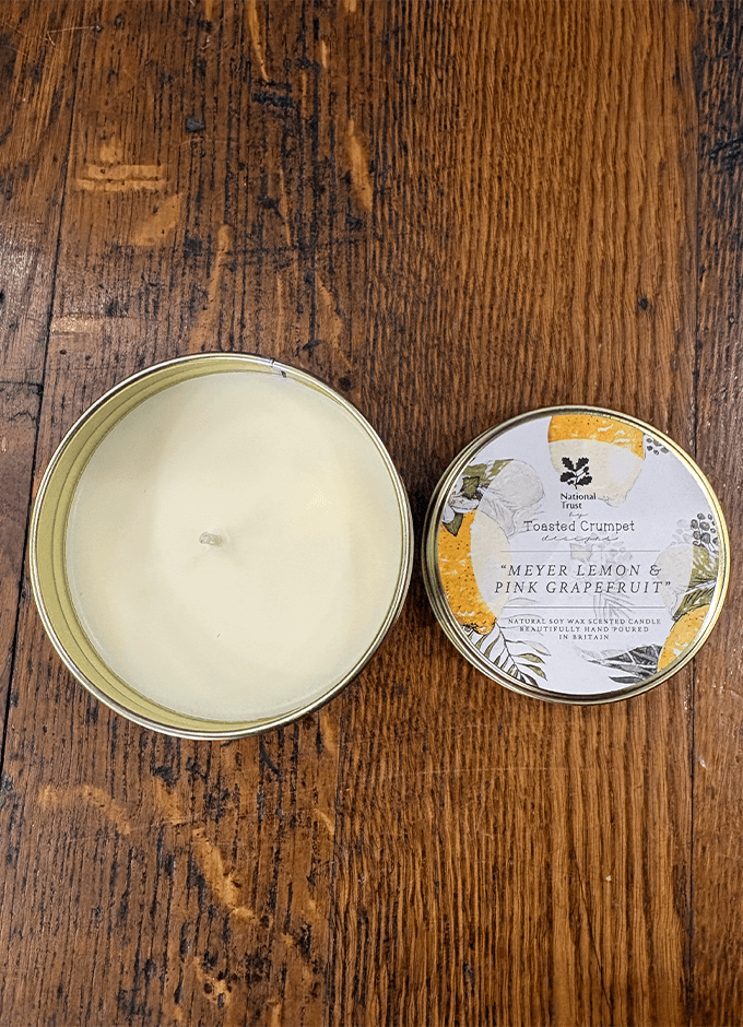 Meyer Lemon & Pink Grapefruit Candle in a Matt Gold Tin