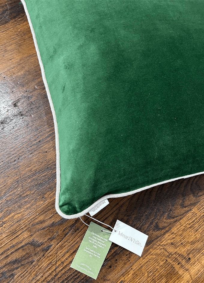 Indian Cotton Velvet Cushion 50x50cm |Parrot