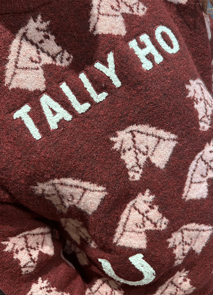 Tally Ho Intarsia Knitted Jumper | Red