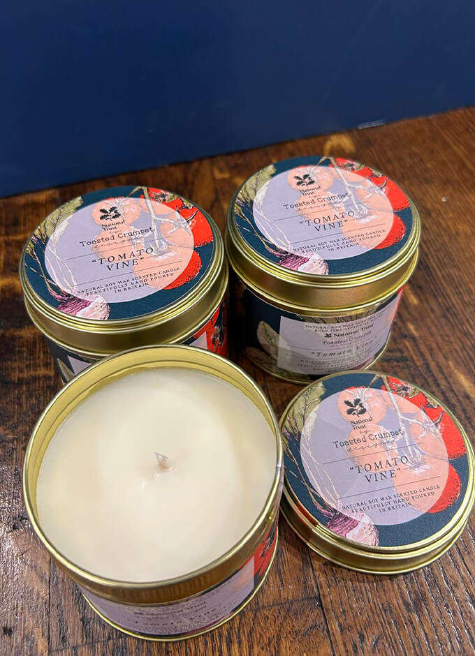 Tomato Vine | Candle