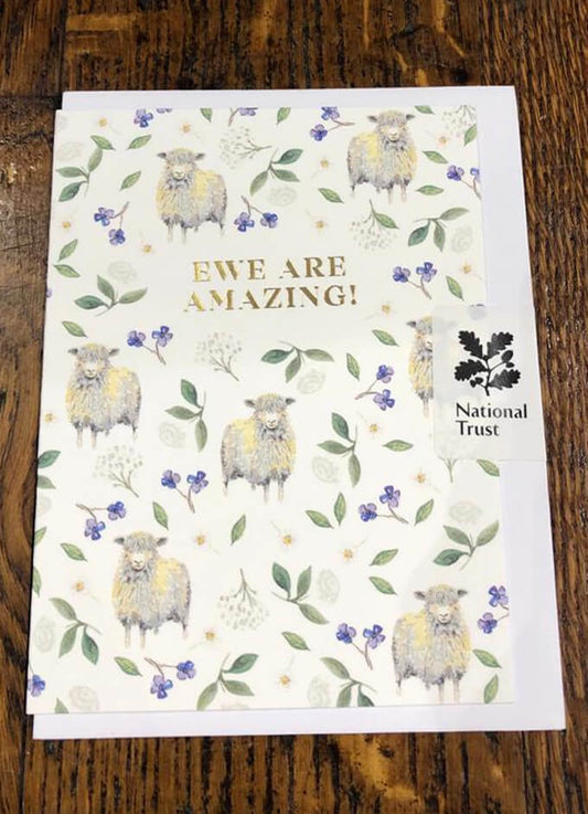 Ewe Are Amazing | Card