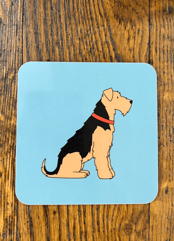 Sweet William | Coaster | Airedale