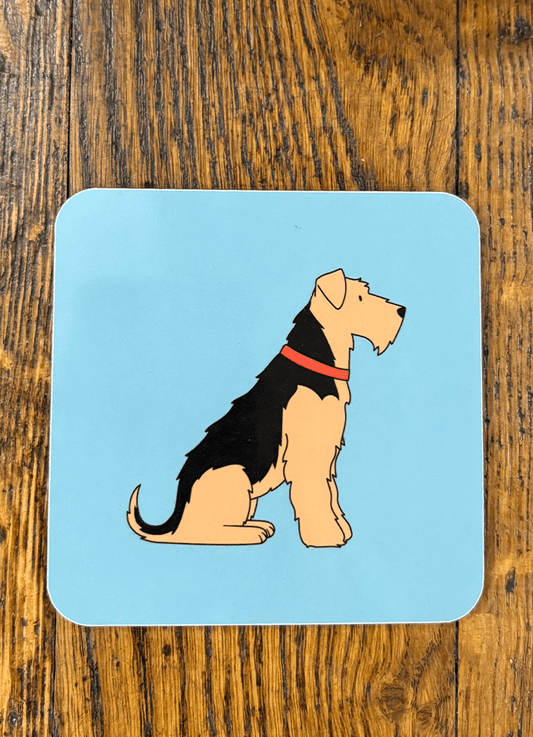 Sweet William | Coaster | Airedale