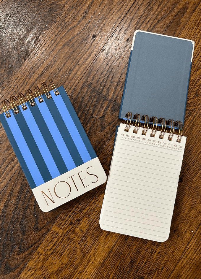 Twin Wire 'Notes' Notebook | Blue Stripes