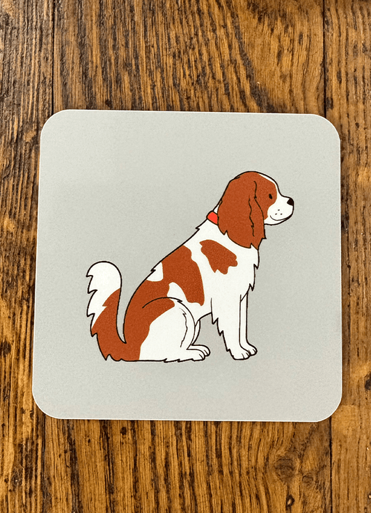 Sweet William | Coaster | King Charles Spaniel