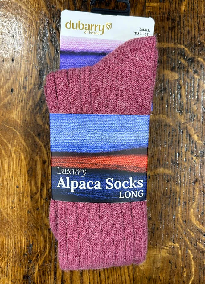 Alpaca Socks | Clover