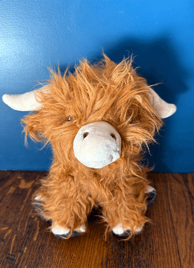 Highland Cow Dog Toy