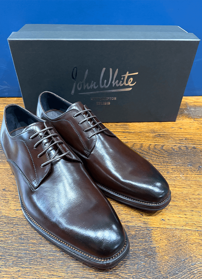 Wilms Derby Shoe | Brown