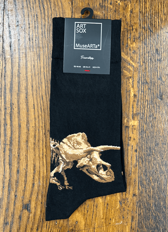 Artsox | Dinosaur | Triceratops