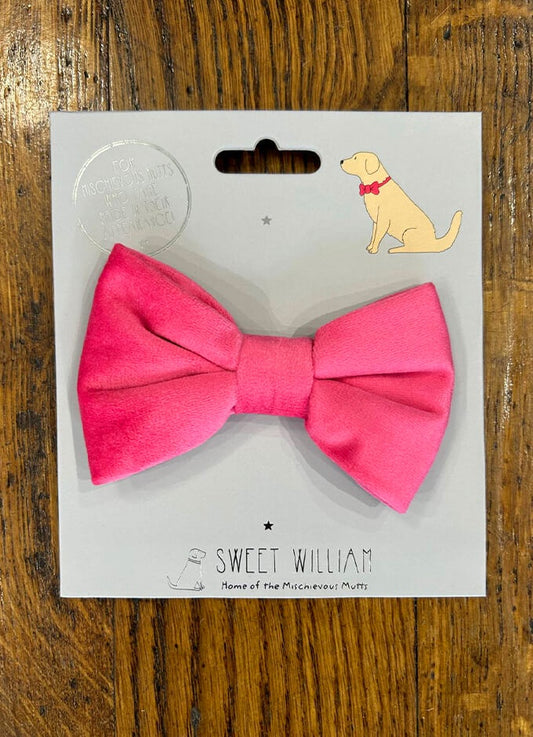 Sweet William | Velvet Bow Tie Pink