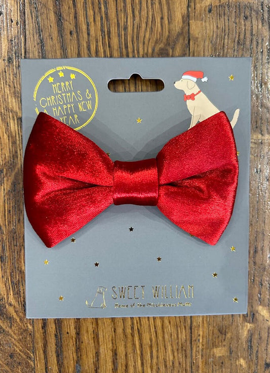 Sweet William | Velvet Bow Tie Christmas Red