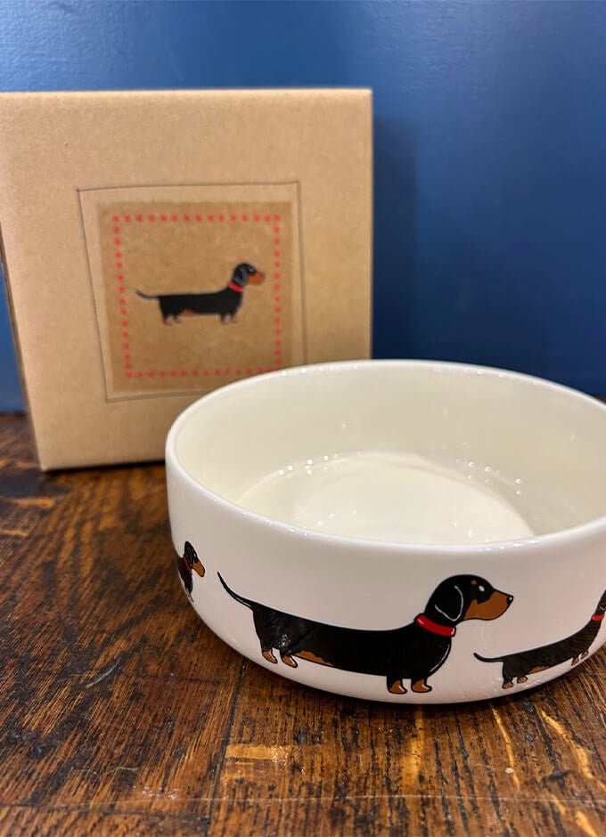 Sweet William | Dog Bowl Dachshund