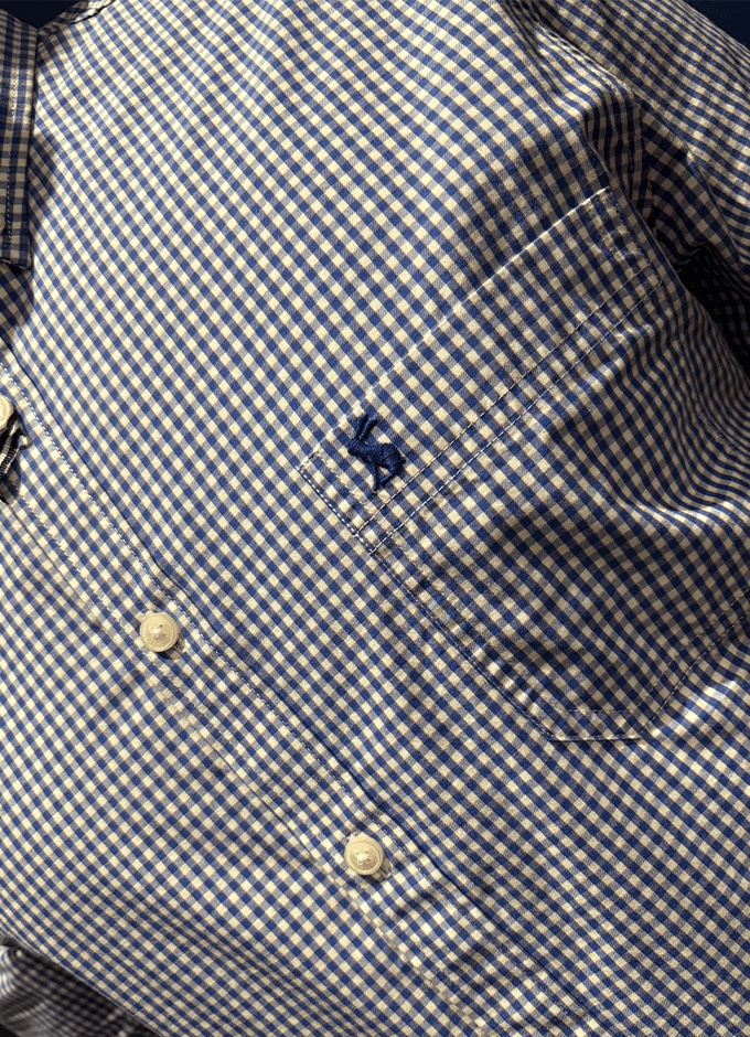 Poplin Gingham Shirt | Blue