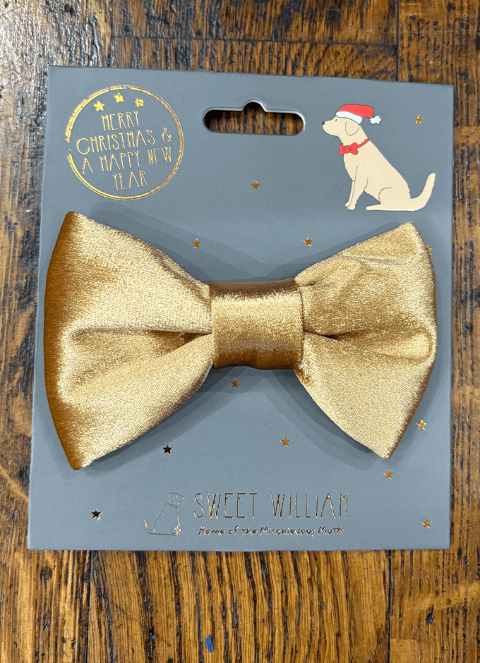 Sweet William | Velvet Bow Tie Christmas Gold