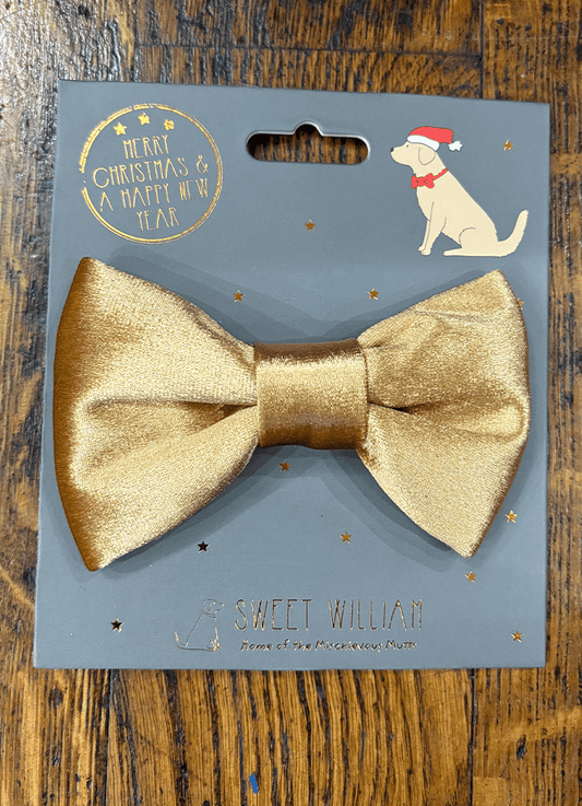 Sweet William | Velvet Bow Tie Christmas Gold