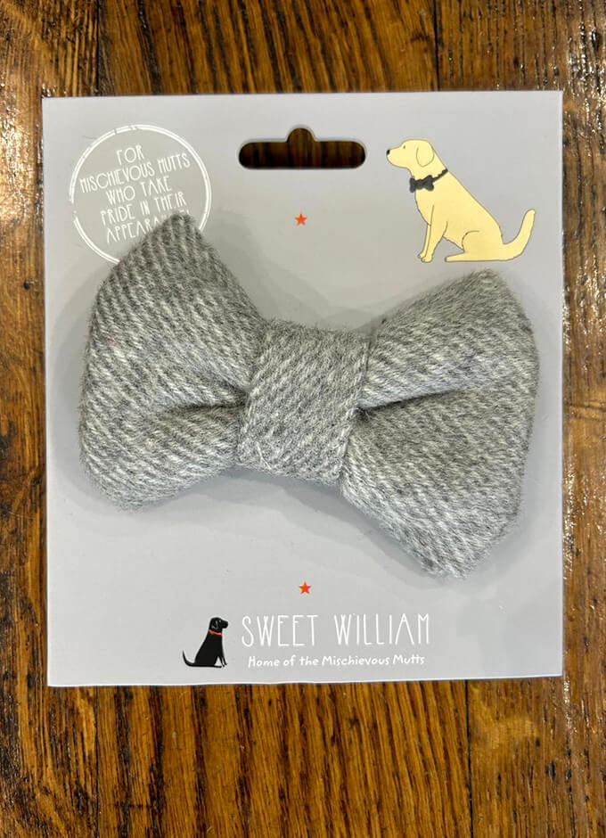 Sweet William | Dog Bow Tie | Grey Tweed