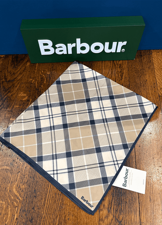 Kinsale Head/Neck Scarf | Dress Indigo Tartan