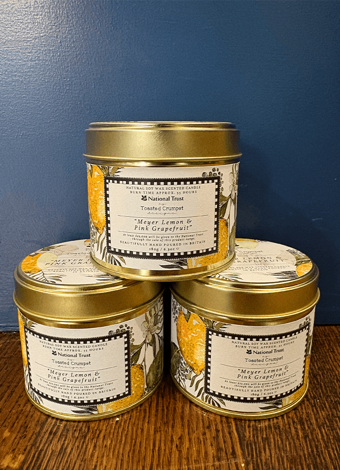 Meyer Lemon & Pink Grapefruit Candle in a Matt Gold Tin