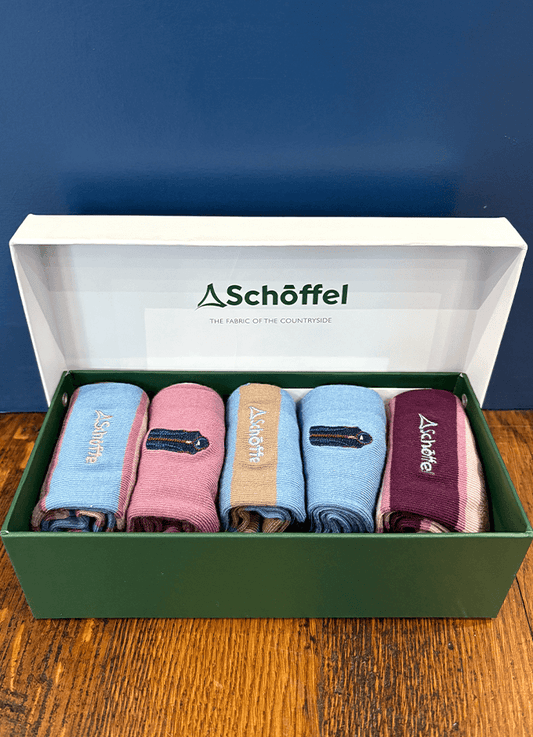 Ladies Bamboo Sock (Box Of 5) | Lyndon Mix 4-7