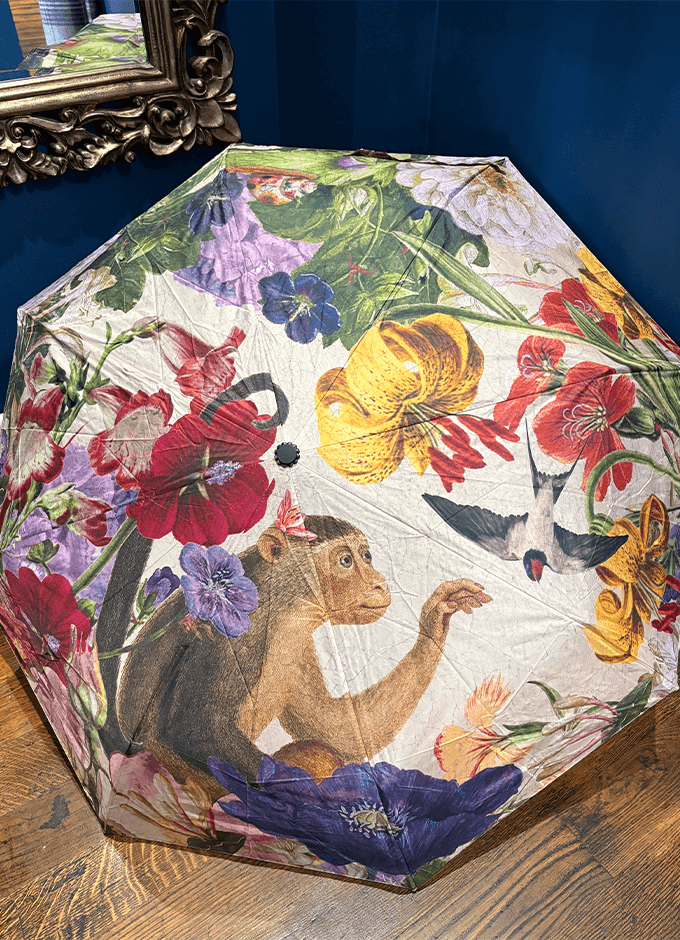 Powder | Umbrella | Cream Posy