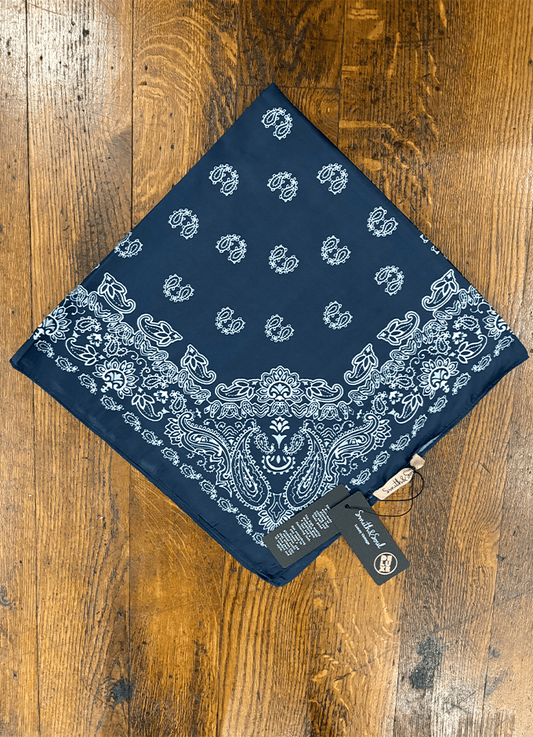 Small Paisley Scarf | Marine