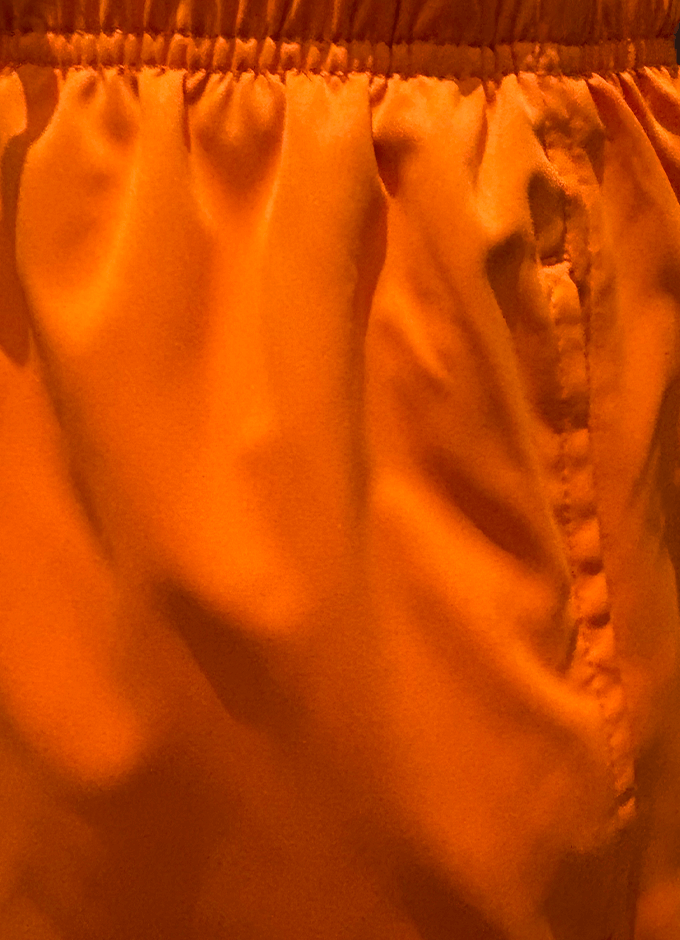 HydroMotion Swim Shorts | Orange