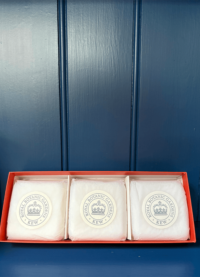 Kew Gardens Jasmine Peach Triple Soap Gift Box