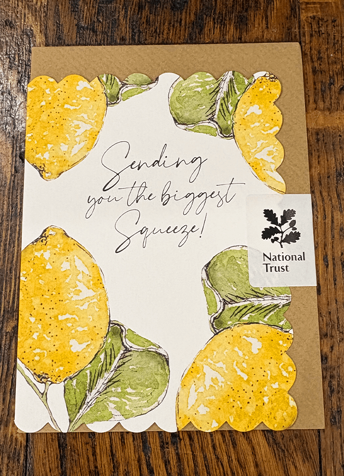 Sending You the Biggest Squeeze | White | National Trust | Card