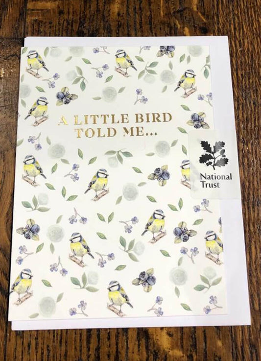 A Little Bird Told Me | Card